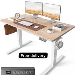 120 x 60cm Sit Stand Electric Home Office Desk with Memory Smart Pannel