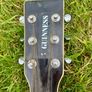 Harley benton guitar Image 4