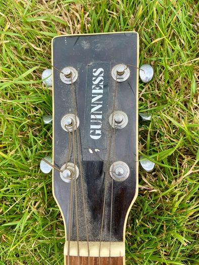 Harley benton guitar