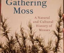 Gathering Moss by Robin Wall Kimmerer