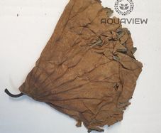 Lotus leaf 30x30cm