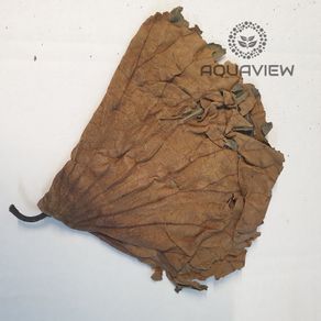 Lotus leaf 30x30cm