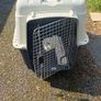 Dog Travel Crate - XL Image 5