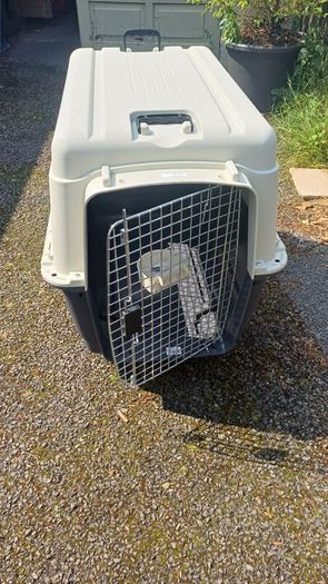 Dog Travel Crate - XL