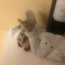 'Chef' Wine Holder Image 4