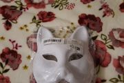 6 pack of diy animal masks