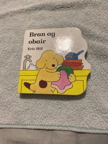 Irish language children's book