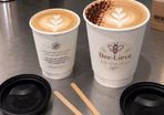 50 pack Eco-Friendly Compostable Coffee Cups Kit