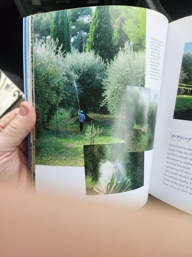 The Illustrated Olive Farm.by Carol Drinkwater. First Edition Hardback With Dustjacket In Good Condition. 38