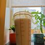 Create Your Own Probiotic Kefir with Live Milk Kefir Grains Image 4