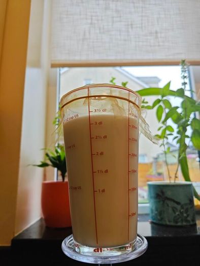 Create Your Own Probiotic Kefir with Live Milk Kefir Grains