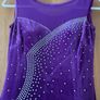 Ballroom Dance Dress Image 4