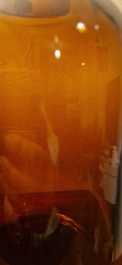 A Large Antique Scottish Amber Glass Demijohn 1920s UGB