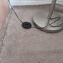 LED Floor lamp. Brushed chrome. Image 6
