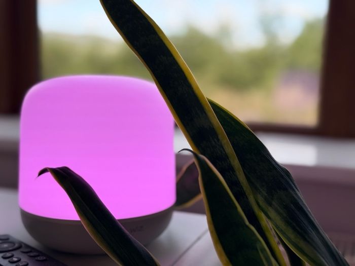 Sale! Smart Home Bundle Lamp Wiz