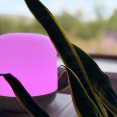 Sale! Smart Home Bundle Lamp Wiz