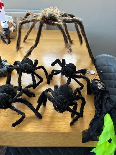 Halloween Bundle.