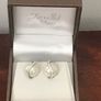 Absolute Earrings - New / Boxed Image 2
