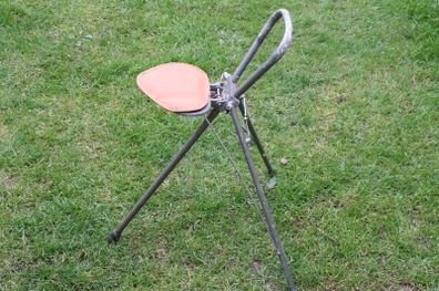 Vintage Walking Chair