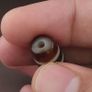 Antique Himalayan Tibetan Circle & Square Eyes Agate Dzi Bead Amulet Pendant Image 7