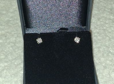 Earrings jewellery