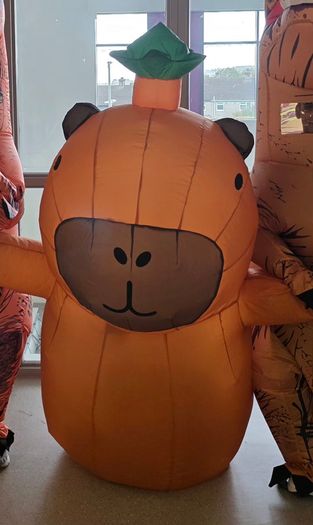 Inflatable Capybara Costume for Halloween