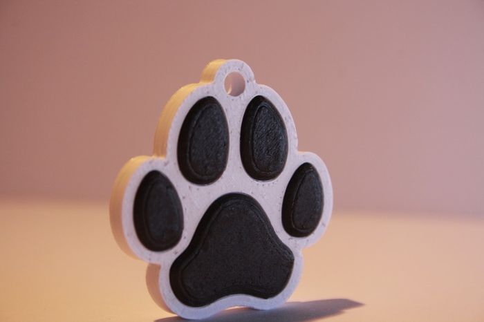Personalised 3D Printed NFC Smart Pet Tag / Keychain
