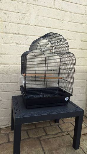 bird cage