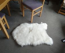 Sheepskin type Rog