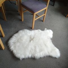 Sheepskin type Rog