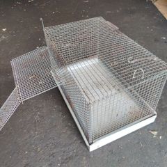 bird cage