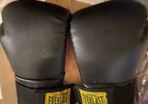 Everlast Boxing gloves and pads