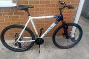 adults bike