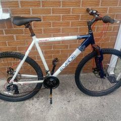 adults bike