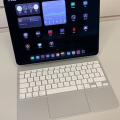 Apple iPad Pro M4 13 inch (Silver, 256GB, Wi-Fi and Cellular)