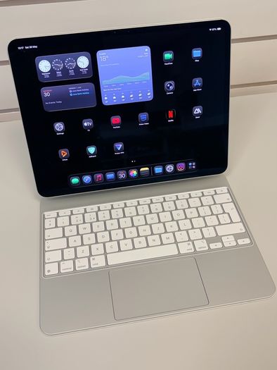 Apple iPad Pro M4 13 inch (Silver, 256GB, Wi-Fi and Cellular)