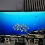 Like New Lg 55" Smart 4k Hdr Tv Image 2