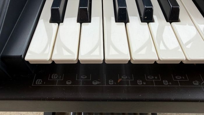 Technics SX-GX5 Organ with bench, Manual, Sheet Music and more.