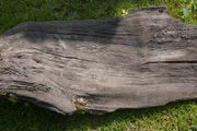 Antique Bog Oak - Garden Decoration