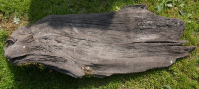 Antique Bog Oak - Garden Decoration