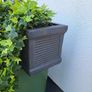 Hedera trough Image 4