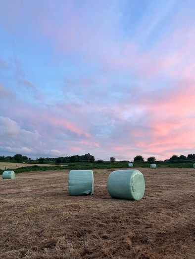 42 Bales of Haylage, Not chopped, good for horses