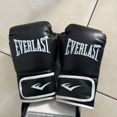 Everlast Boxing Gloves