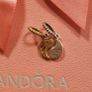 Pandora two tone Splittable charm (authentic) 70 euro in store Image 5