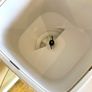 6L Automatic Pet Feeder, incl new Batteries and Charger Image 7