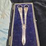 Antique Victorian Walker & Hall Grape Scissors - Sheffield Plated - Cased 1893 Image 5