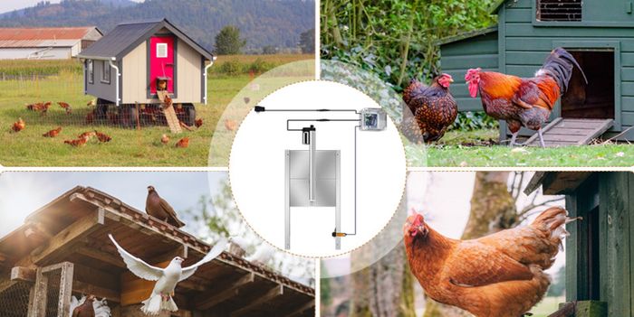 30 by 30CM Automatic Chicken Coop Door Opener Kit with Programmable Timer Controller,and Remot control