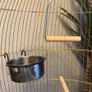 bird cage + stand Image 3