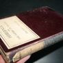 Hibernia : or, The future of Ireland / by Bolton C. Waller Image 7