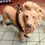Schleich and Papo animal figurines Image 4